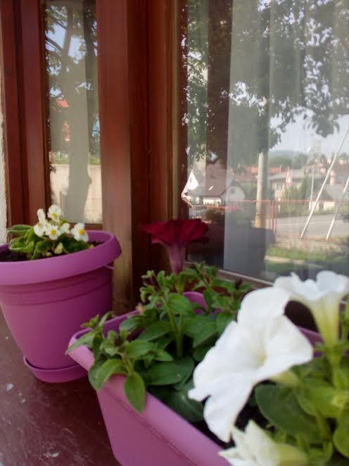 Guest House Olbina Korenica Extérieur photo